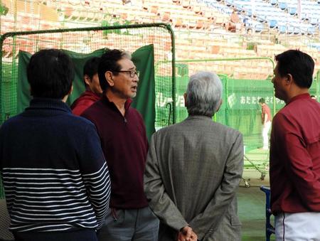 　練習を見ながら与田投手コーチ（右）らと話し込む星野球団副会長