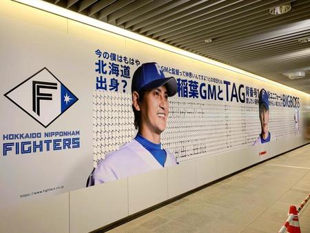札幌駅地下歩行空間に掲示された新庄ビッグボスの特大画像（日本ハムファイターズ提供）