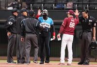 　メンバー表を交換し、三木監督（右から２人目）、審判団とハイタッチを交わす新庄監督（中央）＝撮影・中島達哉