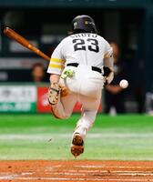 　６回、死球を受ける周東