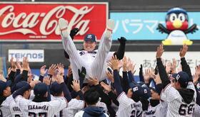 　胴上げされる村上（撮影・佐々木彰尚）