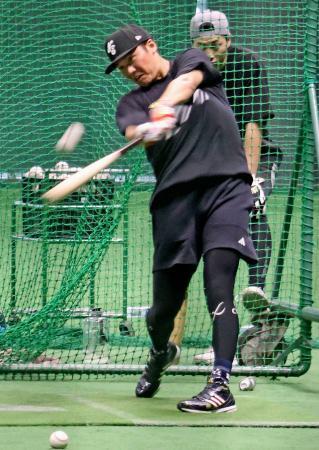 　練習を公開した巨人の坂本勇＝那覇市