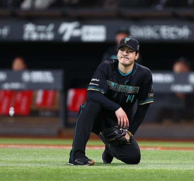 日本ハム屈辱　宿敵ソフトＢに５連敗