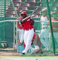 打撃練習で快音を響かせるロサリオ(撮影・出月俊成)