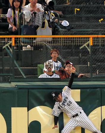 　延長１２回、フェンスを越えているように見える田中の打球（９月１２日の阪神－広島）