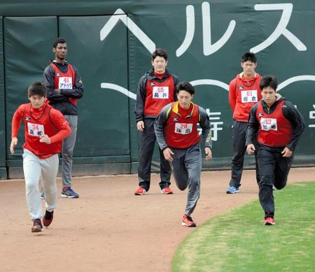 マツダスタジアムの外野フェンス沿いを力強く走る（左から）高橋、アドゥワ、長井、床田、坂倉、加藤