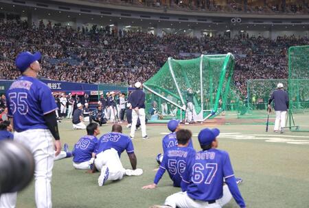大谷のフリー打撃に見入るファンと選手ら（撮影・西岡正）
