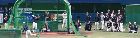 侍ジャパンナインも大注目の中、フリー打撃する大谷（撮影・飯室逸平）