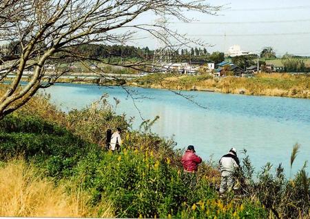 　野釣りの迫力が期待できる印旛新川