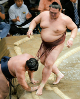 デイリースポーツ 主要ニュース