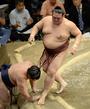 　鶴竜（左）を寄り切りで下す稀勢の里