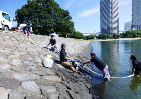 　水質改善の実証実験で、海水を採取する「日本環境ビジネス機構」の職員ら＝５日午前、東京・お台場