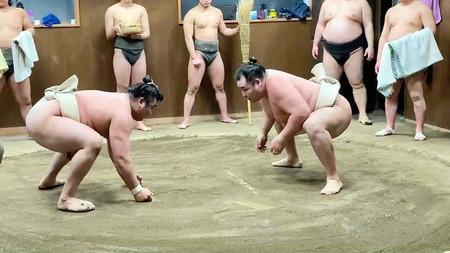 霧馬山と相撲を取る鶴竜（右）＝日本相撲協会提供