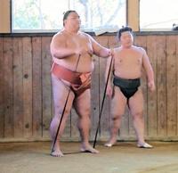 ゴムチューブを使いトレーニングする御嶽海（日本相撲協会提供）