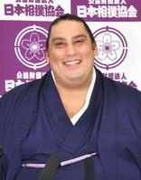 b_15599603.jpg