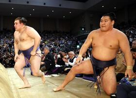 　豊昇龍（右）は安青錦に敗れる（撮影・山口登）