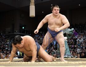 　安青錦（右）は豊昇龍を破り優勝を決める（撮影・山口登）