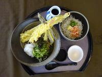 一本あなごと海老天ぶっかけしらす丼