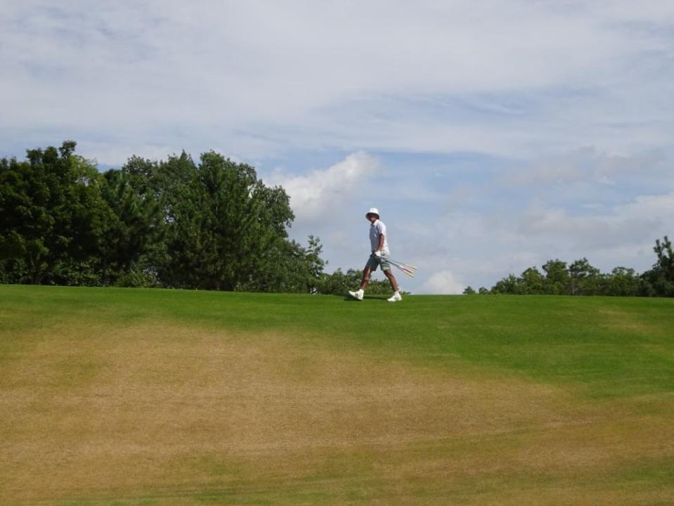 ５番。ここも３メートル以上打ち上げとなるグリーン