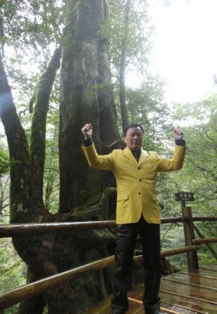 　樹齢１０００年という千年杉の前でガッツポーズを見せる細川たかし＝屋久島