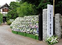 たくさんの花が供えられた白川由美さんの葬儀式場＝東京・広尾の祥雲寺（撮影・西岡正）