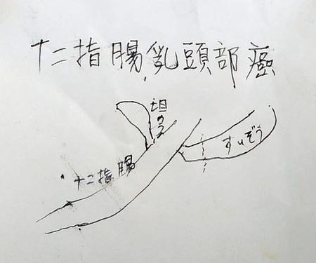 父・梅宮辰夫が梅宮アンナに手渡した直筆の図＝東京タワーメディアセンター