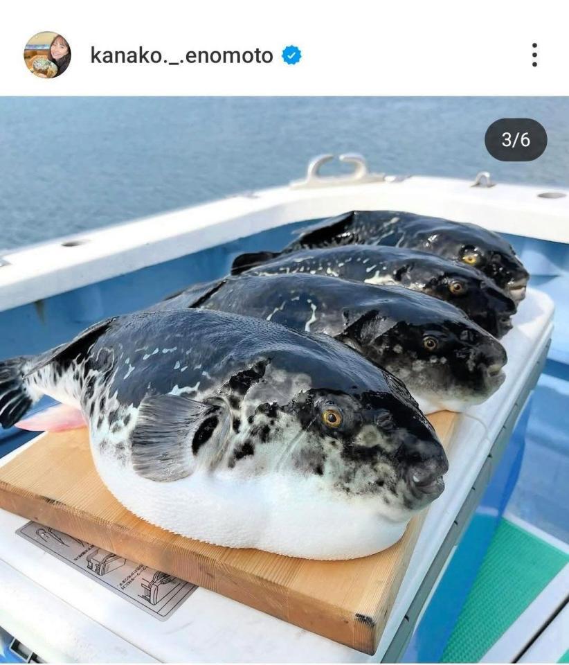 　榎本加奈子さんのインスタグラム（＠ｋａｎａｋｏ．＿．ｅｎｏｍｏｔｏ）から