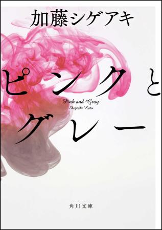 　ＮＥＷＡＳ加藤の小説「ピンクとグレー」