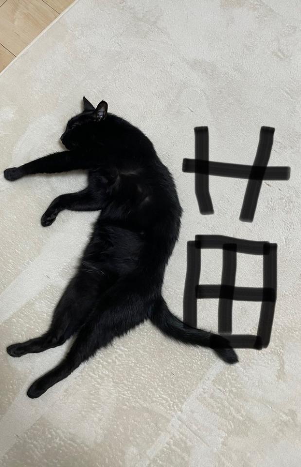 猫で描いた「けものへん」