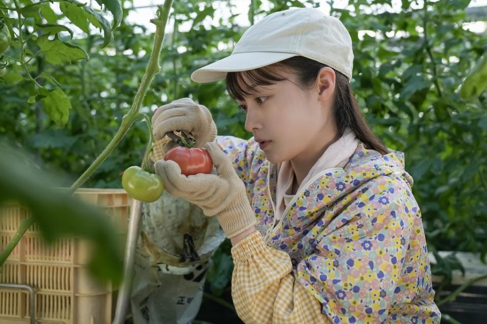 家の畑仕事に専念する結（橋本環奈）