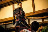 刀の切っ先を突きつける信長、おののく小一郎