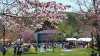 「第３８回釧路町桜まつり」（２０１９年）