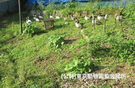 　がんが隔離施設へ移動した当日