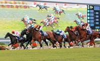 ハナ差で偉業を達成したジェンティルドンナ（左から３頭目）＝京都競馬場（撮影・石湯恒介）