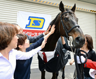 デイリースポーツオンライン フォト