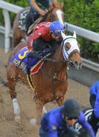 　岩田を背に栗東坂路で矢のように伸びたジェンティルドンナ（撮影・石湯恒介）