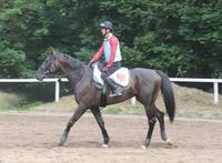 海外デビューを飾るキズナ(JRA提供)