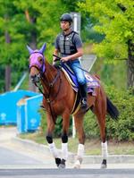 凱旋Vを目指すジェンティルドンナ