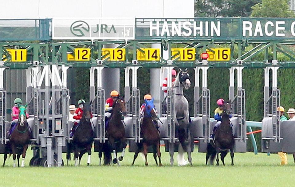 ゴールドシップ（右から２頭目）ゲート内で立ち上がり出遅れる＝阪神競馬場（撮影・山口　登）