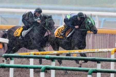 　雨が降りしきる中、美浦Ｗで併せ馬を行ったルージュバック（右）
