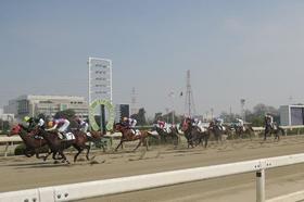 園田競馬場