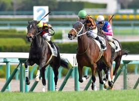 差し返す根性を見せて新馬戦を快勝したティグラーシャ(左)=阪神競馬場(撮影・石湯恒介)