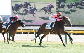 5R・3歳新馬戦を制したアイリスフィール(右)=東京競馬場(撮影・園田高夫)