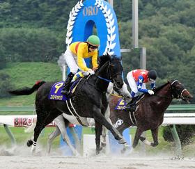 コパノキッキングでクラスターカップに挑んだ藤田菜七子騎手(左)だったが3着に終わる=盛岡競馬場(撮影・三好信也)