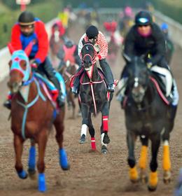 　無傷の３連勝を目指し、栗東坂路を登坂したコントレイル（撮影・石湯恒介）