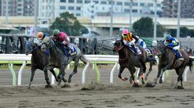 競り負け2着となったノンコノユメ(左から1頭目)=撮影・持木克友