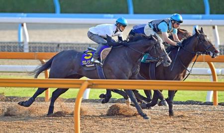 　北村友を背に好ムードを漂わせたクロノジェネシス（左）＝撮影・石湯恒介