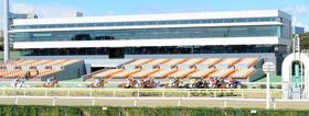 無観客競馬はいつまで続くのか