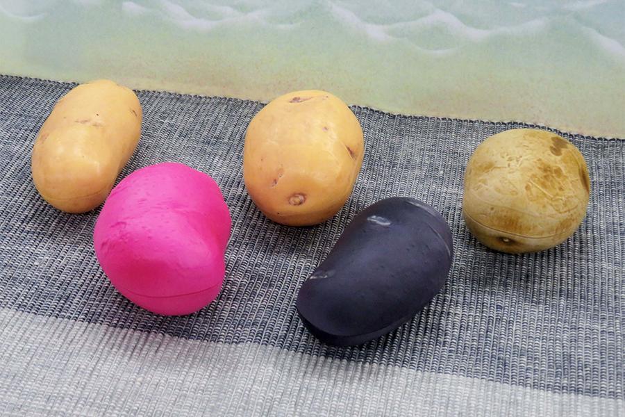 　左から、メークイン、アンデスレッド、インカのめざめ、シャドークイン、男爵イモ