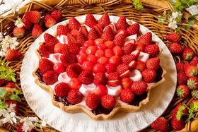 　「結晶型 “ル ガール”クリームチーズムースのタルト ～桜風味～」（１ピース１０９０円、ホール２５ｃｍ１万９０８円）。 販売期間は２月１９日～４月１４日